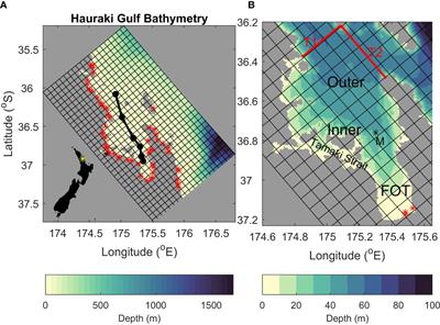 Modelling the biogeochemical footprint of rivers in the Hauraki Gulf, New Zealand